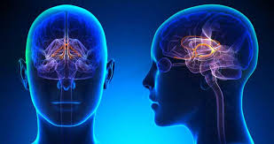 NEUROLOGIA